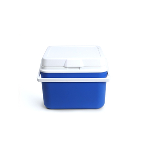 China Pe Hard Lunch Ice Cooler Box